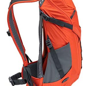 ALPS Mountaineering Baja Backpack, 20L, Chili/Gray