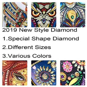 NEILDEN New 4Pack 5D Diamond Painting Kit, DIY Diamond Number Rhinestone Painting Kits for Adults and Children Embroidery Diamond Arts Craft Home Decor 11.811.8inch