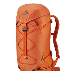 Gregory Mountain Products Alpinisto 28 LT Alpine Backpack