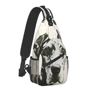 hicyyu harlequin great dane outdoor crossbody shoulder bag for unisex young adult hiking sling backpack