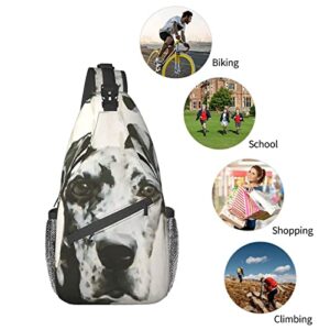 Hicyyu Harlequin Great Dane Outdoor Crossbody Shoulder Bag For Unisex Young Adult Hiking Sling Backpack