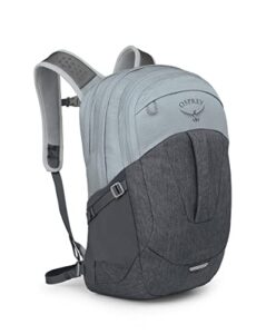 osprey comet 30 laptop backpack, silver lining/tunnel vision