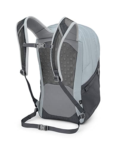 Osprey Comet 30 Laptop Backpack, Silver Lining/Tunnel Vision