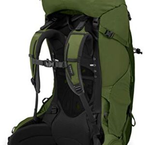 Osprey Aether 65 Men's Backpacking Backpack , Garlic Mustard Green, Large/X-Large