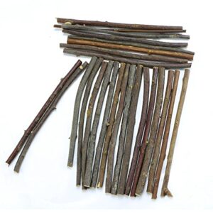 TKOnline 100Pcs 10cm 0.1-0.2 Inch in Diameter Wood Log Sticks for DIY Crafts Photo Props Craft Sticks,Wood Crafts,Sticks inch,Wood Sticks,Wood Craft Sticks,Photo Stick,Photo Props,Wood logs