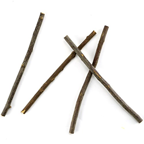 TKOnline 100Pcs 10cm 0.1-0.2 Inch in Diameter Wood Log Sticks for DIY Crafts Photo Props Craft Sticks,Wood Crafts,Sticks inch,Wood Sticks,Wood Craft Sticks,Photo Stick,Photo Props,Wood logs