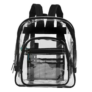 medium clear transparent backpack