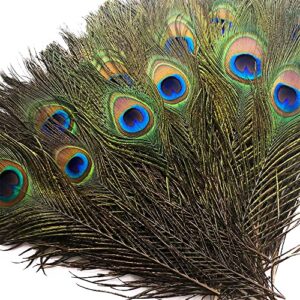 Piokio 50 pcs Natural Peacock Feathers in Bulk 10-12 inch(25-30 cm) Bulk for DIY Craft, Wedding, Mardi Gras Decoration