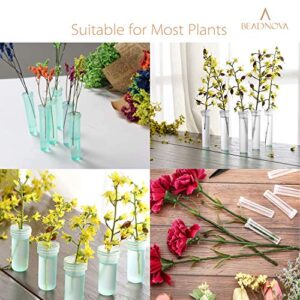 BEADNOVA Flower Water Tubes 2.8 Inch Plastic Water Tubes for Flowers Floral Vials with Caps for Decoration Flower Arrangement (Clear, 60 Pcs)