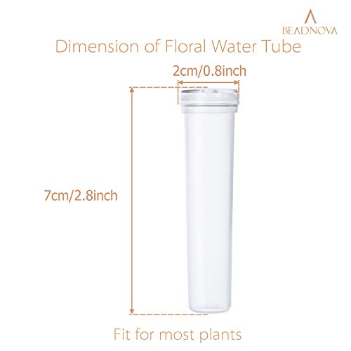 BEADNOVA Flower Water Tubes 2.8 Inch Plastic Water Tubes for Flowers Floral Vials with Caps for Decoration Flower Arrangement (Clear, 60 Pcs)