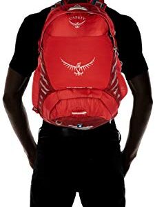 Osprey Packs Escapist 25 Daypacks, Cayenne Red, Medium/Large