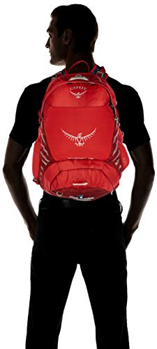 Osprey Packs Escapist 25 Daypacks, Cayenne Red, Medium/Large