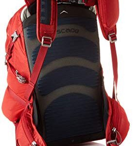 Osprey Packs Escapist 25 Daypacks, Cayenne Red, Medium/Large