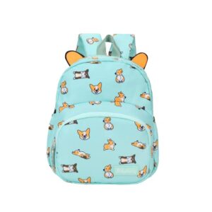 baystory 12 inch corgi kids school cute mini backpack durable waterproof multipurpose backpack ergonomic and comfort for kids (green)