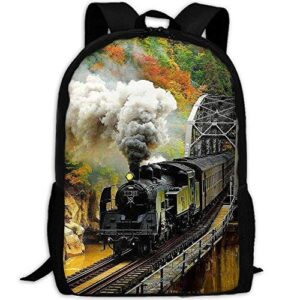 sara nell school backpack train bookbag casual travel bag for teen boys girls (one_size, big smoke train)