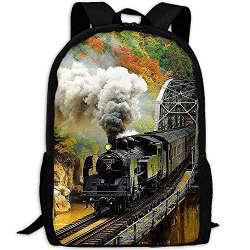 SARA NELL School Backpack Train Bookbag Casual Travel Bag For Teen Boys Girls (One_Size, big smoke train)