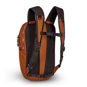 Pacsafe ECO 18L Anti Theft Backpack, ECONYL Canyon