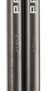 Prismacolor Ebony Graphite Drawing Pencils, Black, 2-Count