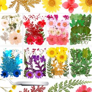 109 pieces real dried press flowers set, natural pressed dry flowers leaves mixed multiple dried flowers with tweezers for craft diy candle resin jewelry nail pendant making supplies