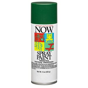 krylon i21205007 now spray paint, 9 ounce (pack of 1), hunter green