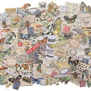 Tim Holtz - Advantus EPHEMERA SNIPPETS ID FIELDNOTES, us:one size, Field Notes