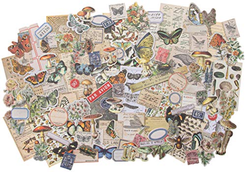 Tim Holtz - Advantus EPHEMERA SNIPPETS ID FIELDNOTES, us:one size, Field Notes