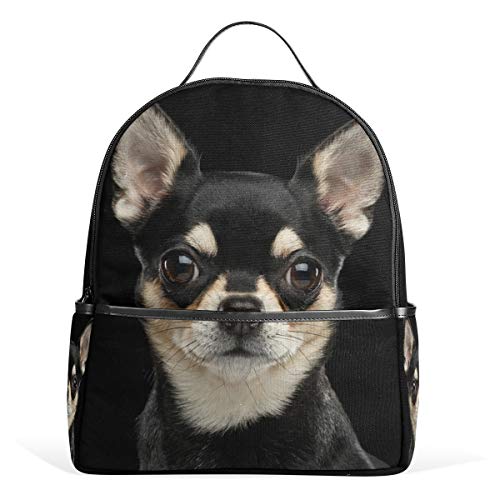 Chihuahua Dog Backpack for Boys Girls School Bookbag Daypack