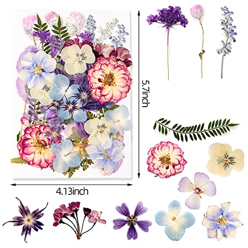 Blaflo 35+pcs Purple Flowers for Resin Model, Real Pressed Flowers Dry Leaves Bulk Natural Herbs Kit for Scrapbooking DIY Art Crafts, Epoxy Jewelry, Candle, Soap Making, Nails Decor