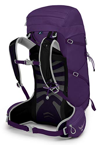 Osprey Tempest 30 Women's Hiking Backpack , Violac Purple, Medium/Large