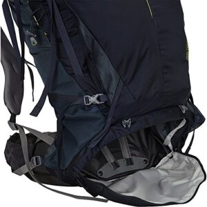 Gregory Mountain Products Men's Baltoro 65 Backpacking Pack