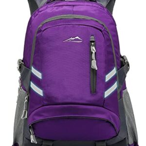 Backpack Bookbag for School College Laptop Travel Student ,Fit Laptop Up to 15.6 inch Multi Compartment with USB Charging Port Anti theft, Gift for Men Women (Purple)