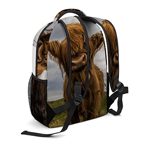 XOLLAR Large Travel Backpack Cute Highland Cow Lightweight Casual Daypack School Book Bag for Teens Boys Girls, One Size