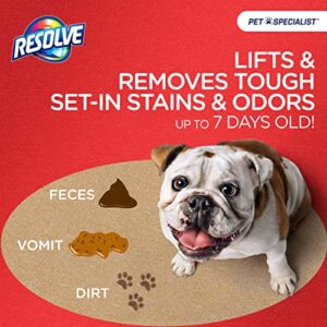 Resolve Pet Specialist Heavy Traffic Foam, Carpet Cleaner, 2 packs of 22oz