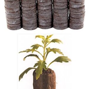 50 Count - Jiffy 7 Peat Pellets - Seed Starter Soil Plugs - 36 mm - Start Seedlings Indoors - Easy to Transplant to Garden