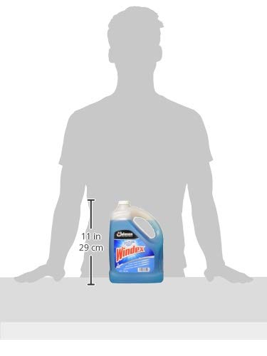 Windex Unscented Glass 1 gallon