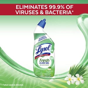 Lysol Toilet Bowl Cleaner Gel, For Cleaning and Disinfecting, Stain Removal, Forest Rain Scent, 24oz