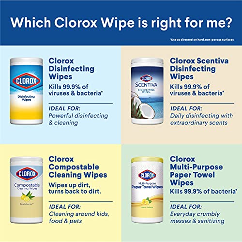 Clorox Disinfecting Wipes, Bleach Free Cleaning Wipes, Multi-surface Wipes with Moisture Seal Lid, Easy Pull Wipes Pack, Fresh Scent, 75 Wipes (Pack of 3) - Packaging May Vary