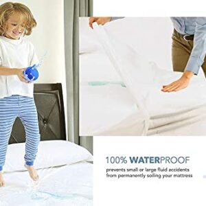 SafeRest Mattress Protector – Queen - College Dorm Room, New Home, First Apartment Essentials - Cotton, Waterproof Mattress Cover Protector and Encasement