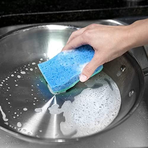 O-Cedar Scrunge Multi-Use (Pack of 6) Non-Scratch, Odor-Resistant All-Purpose Scrubbing Sponge Safely Cleans All Hard Surfaces in Kitchen and Bathroom, 6 Count (Pack of 1), Blue