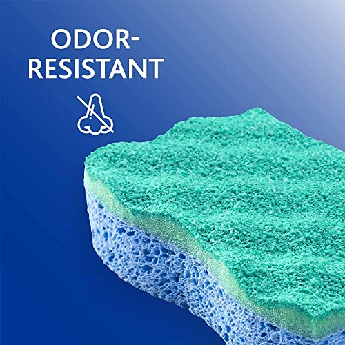 O-Cedar Scrunge Multi-Use (Pack of 6) Non-Scratch, Odor-Resistant All-Purpose Scrubbing Sponge Safely Cleans All Hard Surfaces in Kitchen and Bathroom, 6 Count (Pack of 1), Blue