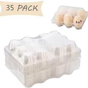 Clear Plastic Egg Cartons - Count Egg Holder, Reusable Fresh Egg Container for Storing Eggs for Kitchen/Groceries/Market/Farm/Farmers (35 Pack) LIZHE…