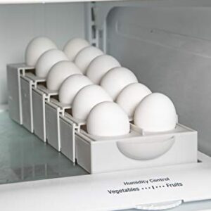 Kitchen Spaces Eggstra Space Egg Holder, Standard, Gray