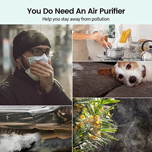 Afloia Air Purifiers for Home Large Room Up to 1076 Ft², H13 True HEPA Air Purifiers for Bedroom 22 dB, Air Cleaners Dust Remover for Pet Mold Pollen, Odor Smoke Eliminator, Kilo White, 7 Color Light