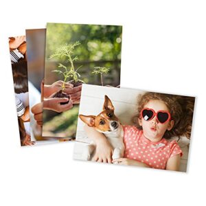 photo prints – glossy – standard size (4×6)