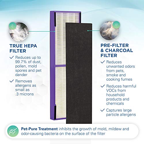 Germ Guardian FLT4850PT True HEPA Genuine Air Purifier Replacement Filter B, with Pet Pure Treatment for GermGuardian AC4900, AC4825, AC4850PT, CDAP4500, AC4300, and More, 1 Count (Pack of 1)