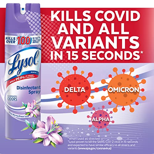 Lysol Disinfectant Spray, Sanitizing And Antibacterial Spray, For Disinfecting And Deodorizing, Early Morning Breeze, 19 Fl Oz (Pack Of 2), Packaging May Vary