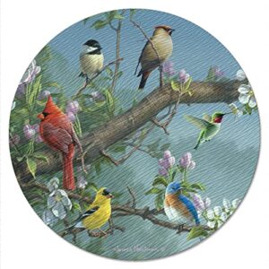 counterart beautiful songbirds 4mm heat tolerant tempered glass lazy susan turntable 13″ diameter cake plate condiment caddy pizza server
