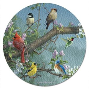 CounterArt Beautiful Songbirds 4mm Heat Tolerant Tempered Glass Lazy Susan Turntable 13" Diameter Cake Plate Condiment Caddy Pizza Server