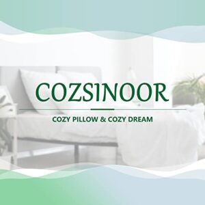 COZSINOOR Bed Pillows for Sleeping [Pack of 2] Cozy Dream Series Hotel Quality Pillows Premium Plush Fiber, Breathable Cooling Cover Skin-Friendly (Queen (Pack of 2))