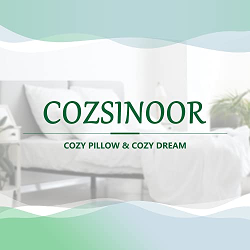 COZSINOOR Bed Pillows for Sleeping [Pack of 2] Cozy Dream Series Hotel Quality Pillows Premium Plush Fiber, Breathable Cooling Cover Skin-Friendly (Queen (Pack of 2))